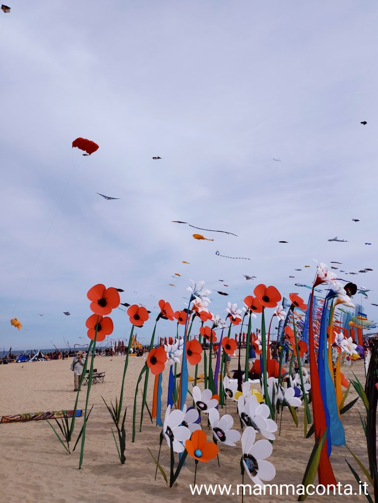 Festival degli aquiloni di Cervia 
