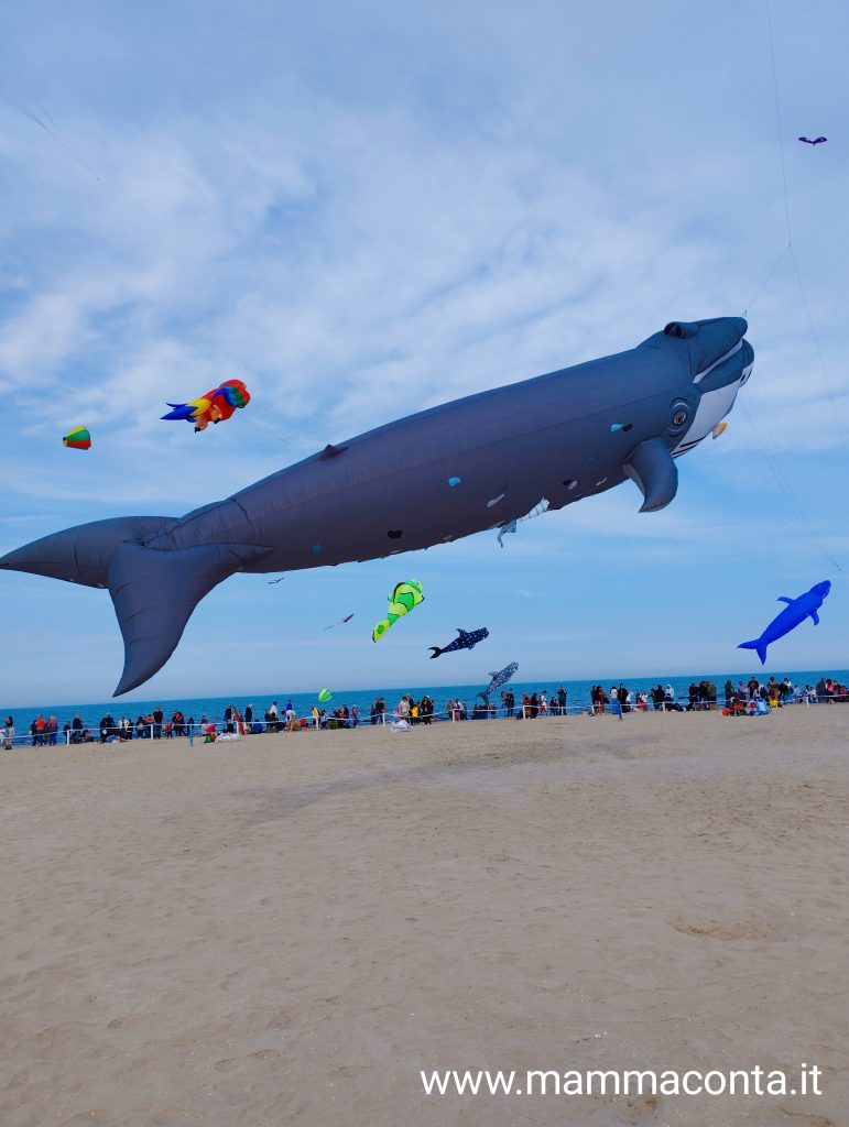 Festival degli aquiloni di Cervia 